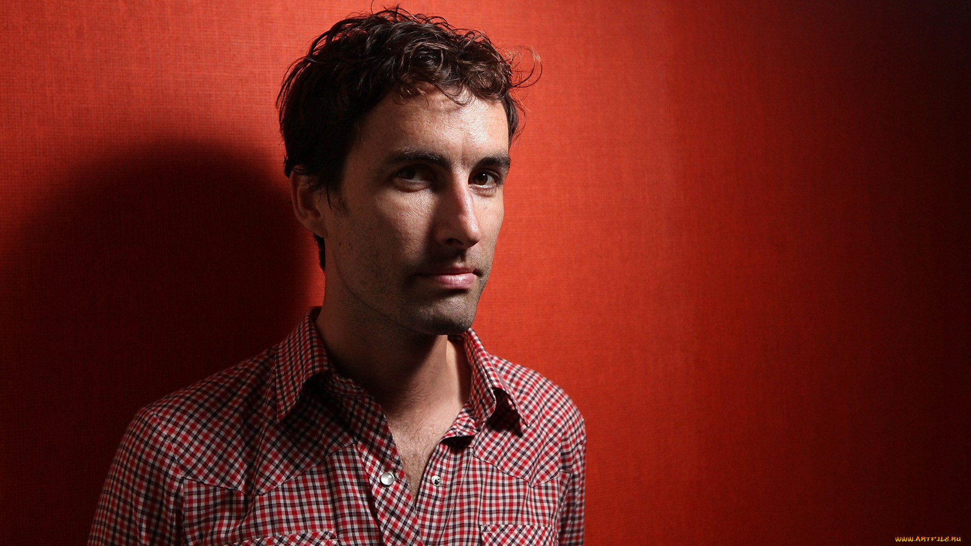 andrew-bird, , andrew bird, 